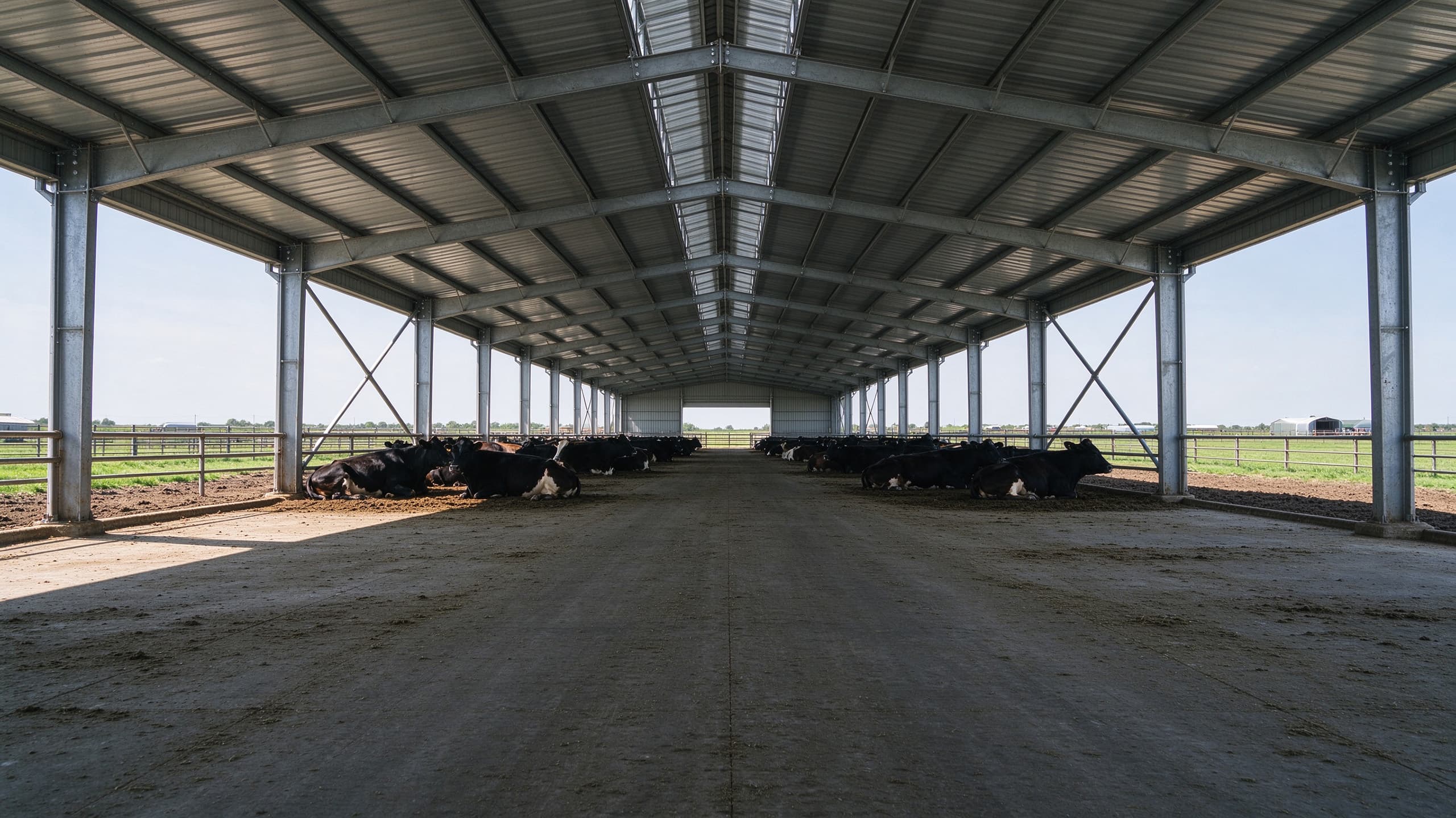 Steel structure cattle barn with open sides and metal roof on a farm