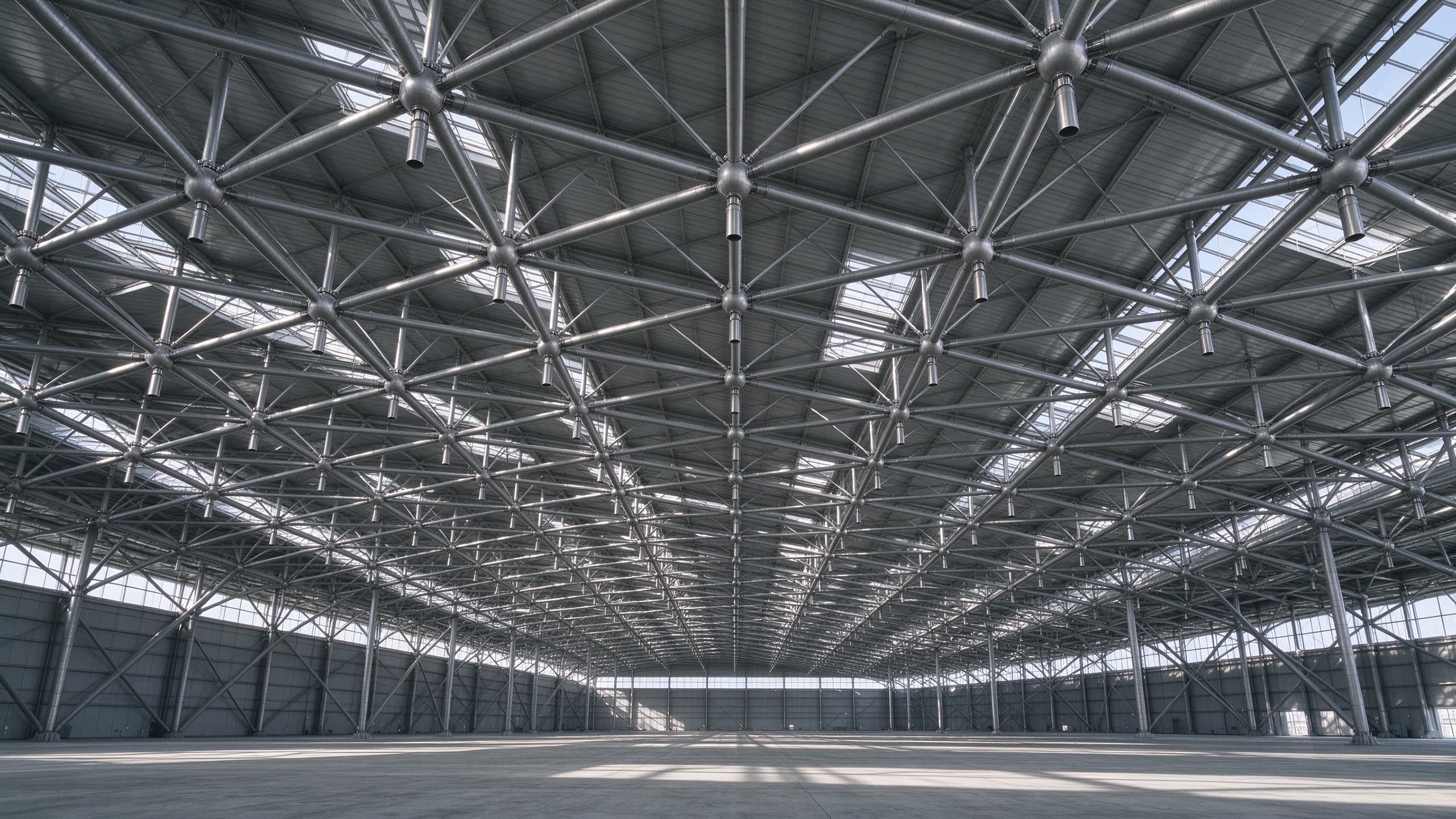 Wide clear span steel roof structure over an exhibition hall